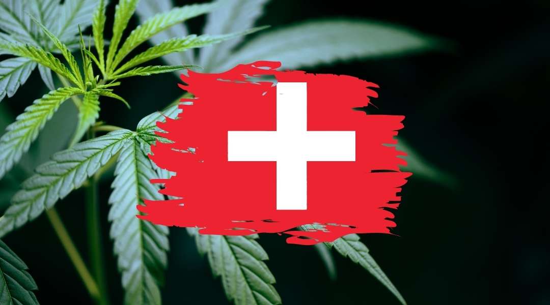 La loi sur le CBD en Suisse