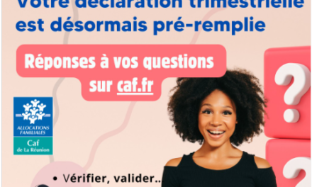 Caf Erreur Déclaration Ressources , Comment une Simple Confusion Peut Vous Coûter des Centaines d’Euros
